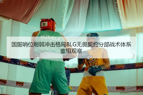 国服哨位削弱冲击格局BLG无畏契约分部战术体系重组观察